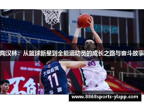 陶汉林：从篮球新星到全能运动员的成长之路与奋斗故事